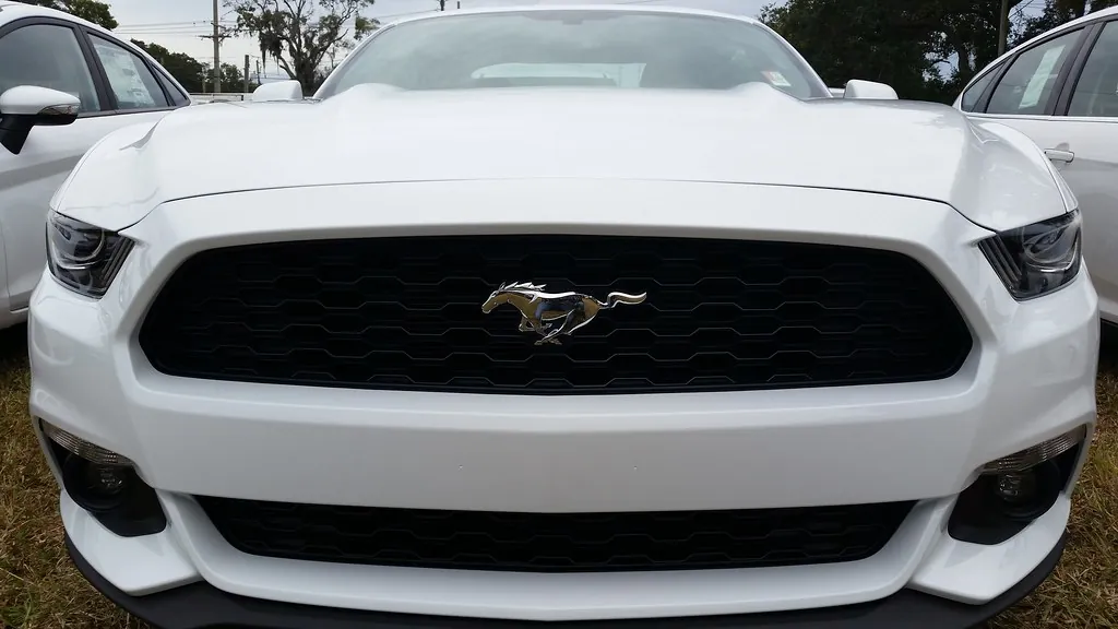 Luxury vehicle fleet
